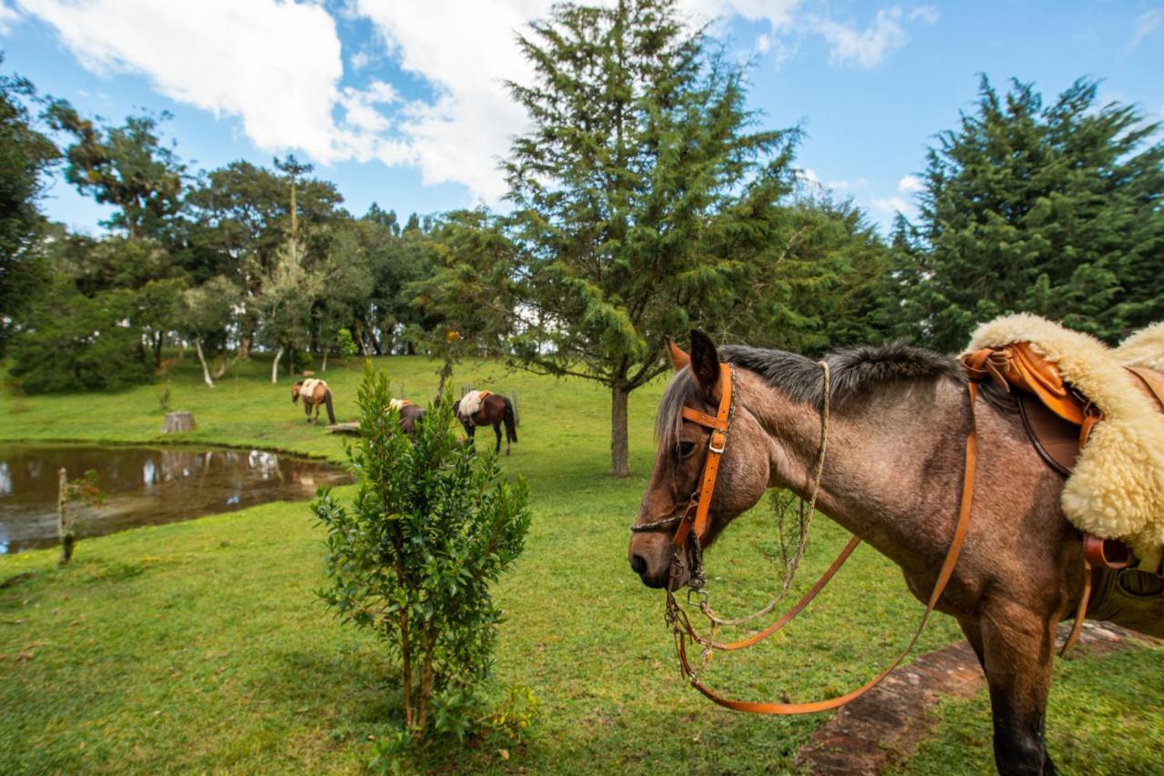 Aires De Patagonia Hotel Cambará Eksteriør billede